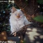 Sandrine Spinka Profile Picture